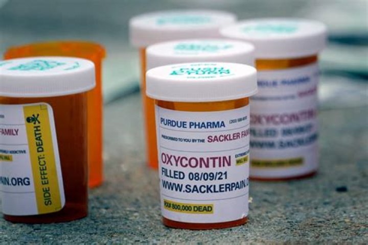 How Much Did Purdue Pharma Really Make from OxyContin? - SarkariResult